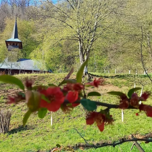 Programul de rugăciune la Mănăstirea Sfânta Maria