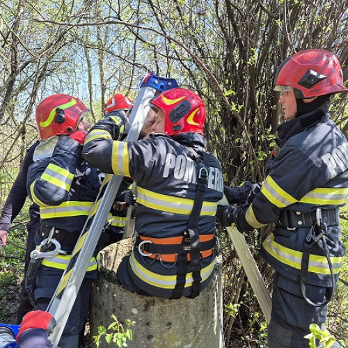 Salvare dramatică a unui câine căzut într-o fântână în Vânătoriști