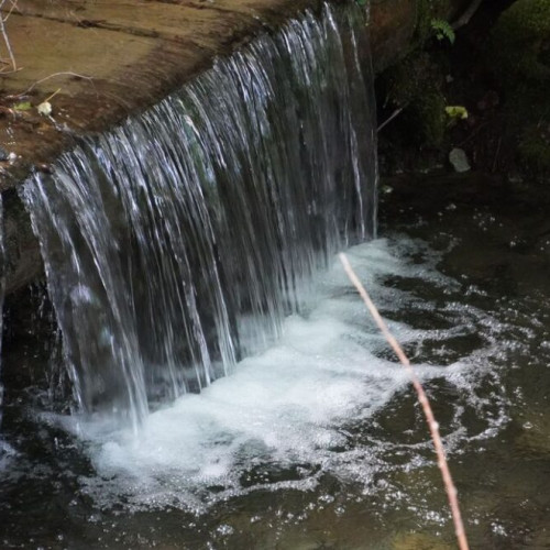 Calitatea apei în Bistrița-Năsăud: 72% din fântânile publice nu au apă potabilă