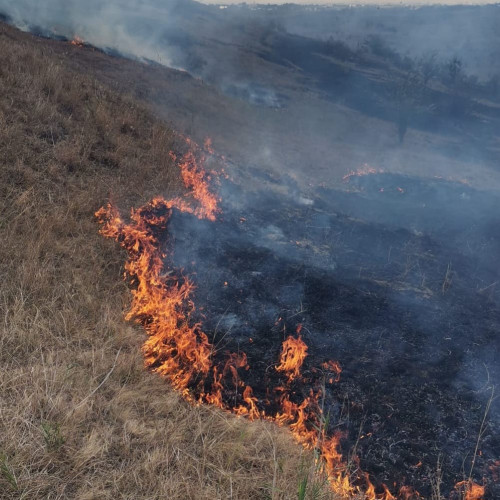 Trei incendii de vegetație în județul Botoșani