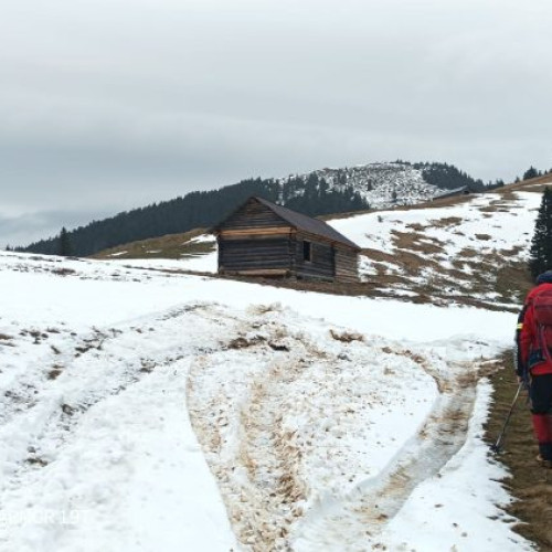 Acțiune de salvare în Muntele Maramureș