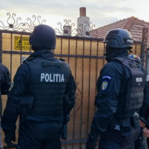 Percheziții domiciliare la Brașov pentru infracțiuni silvice