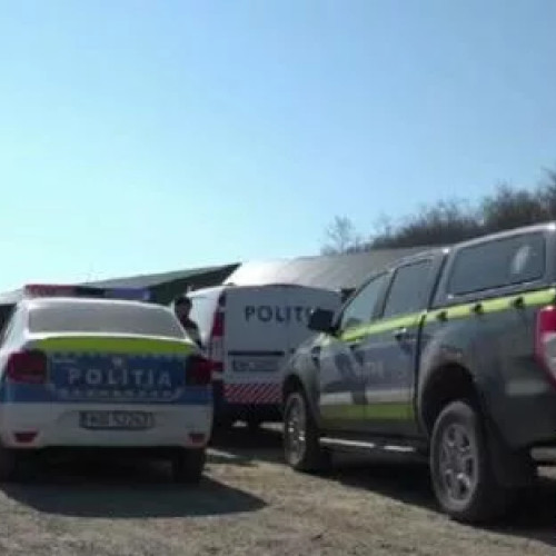 Un bărbat din Botoșani a fost reținut după ce și-a ucis câinii