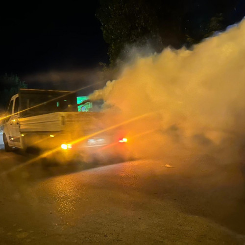 Primăria Galați anunță acțiuni de dezinsecție