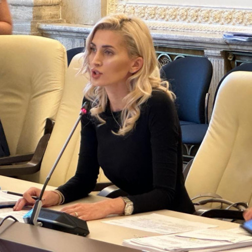 Prefectul Andreea-Anamaria Naggar prezintă bilanțul activității din anul 2024