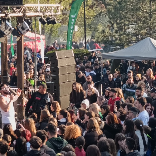 Atmosferă animată la Festivalul Scrumbiei Dunarene