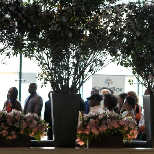 Pastor american salvat după o răpire în Africa de Sud