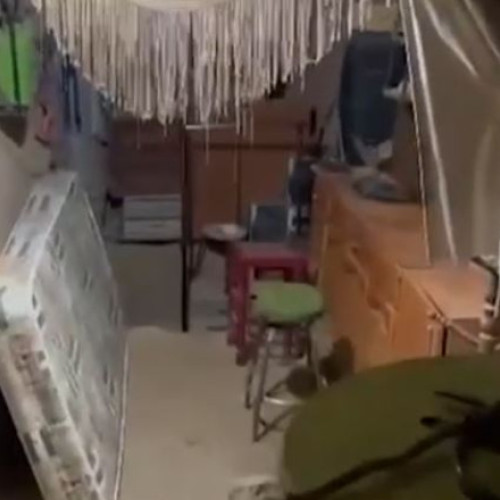 Descoperire surprinzătoare a poliției în Granada