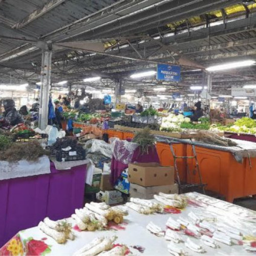 N. Dumitrescu implicat în mai multe evenimente recente