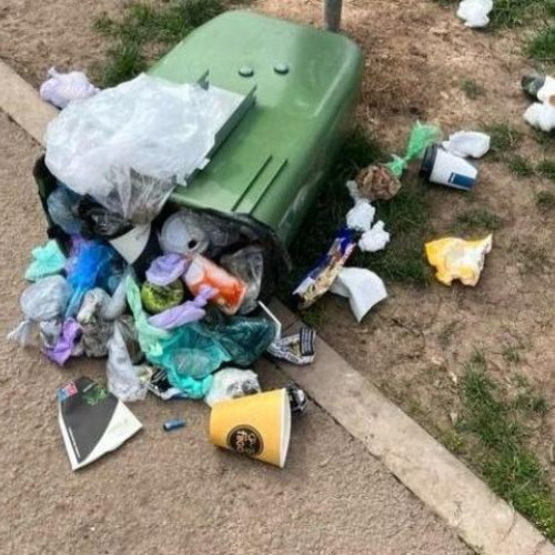 Infrastructura neglijată: Parcul abandonat și gunoiul depășit