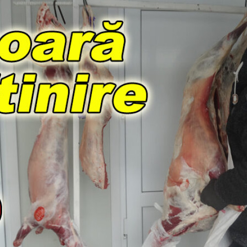 Comercianții de miei la Drăgăica: Prețuri în scădere și cerere prezentă