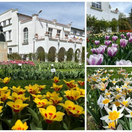 Gradina Botanica "Alexandru Borza" din Cluj-Napoca își menține programul normal de vizitare în perioada sărbătorilor Pascale