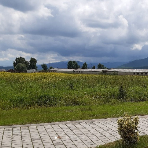 Consiliul Județean Sibiu va vota proiectul pentru un nou Centru de Paliatie în Saliste