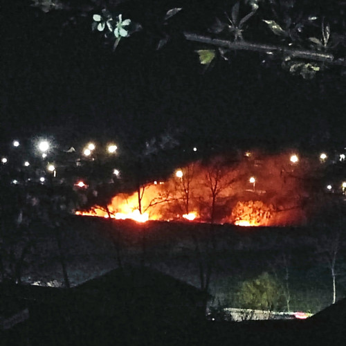 Incendiu de vegetație în județul Botoșani