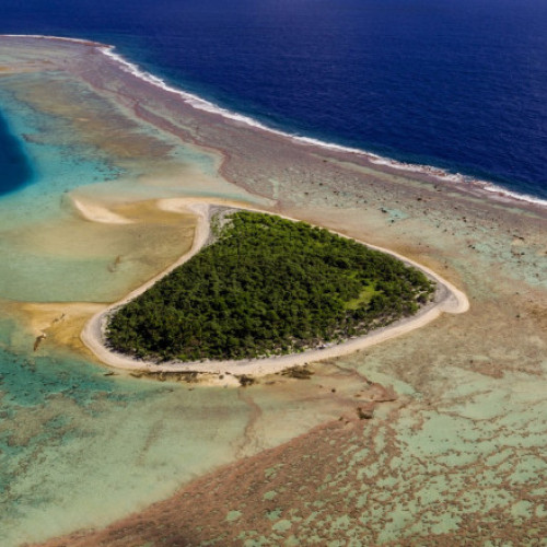 Donald Trump reautorizează pescuitul comercial în sanctuarul marin din Pacific