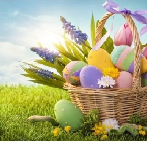 Societatea Cons Expert Turcanu SRL Botoșani urează sărbători fericite