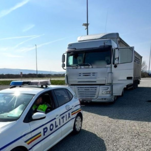 Acțiune rutieră în Cluj pentru combaterea transporturilor ilegale