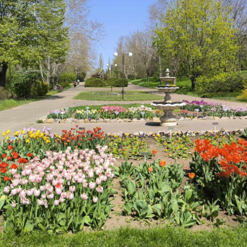 Plimbări de Paște în Grădina Botanică din Galați