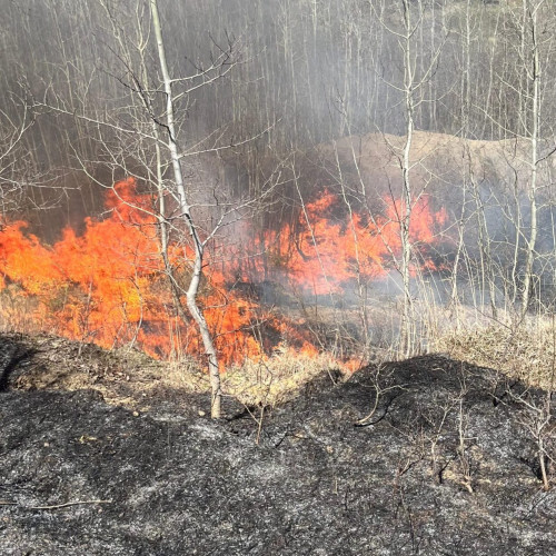Incendii de vegetație în judetul Botoșani