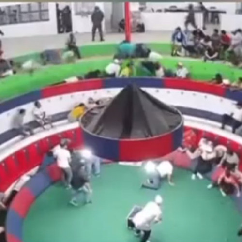 Atac armat la o competiție de lupte între cocoși în Ecuador