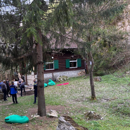 Urs alertat în zona turistică Bicaz-Chei