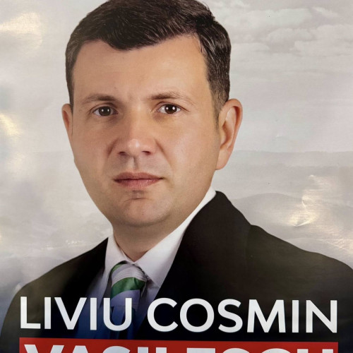 Campania electorală pentru alegerile locale parțiale a început