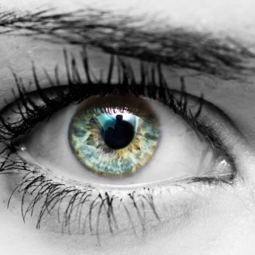 O echipă de oameni de știință anunță descoperirea unei noi culori