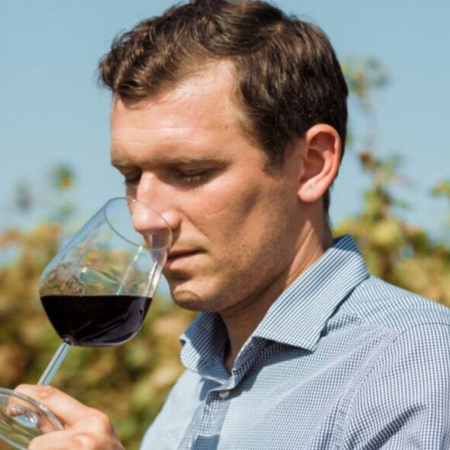 Cele mai scumpe vinuri din Moldova, produse la Cotnari