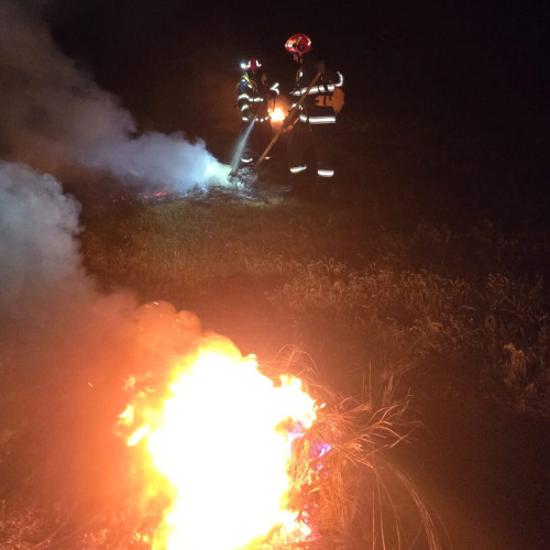 Trei incendii de vegetație și anvelope stinse de pompieri în Botoșani