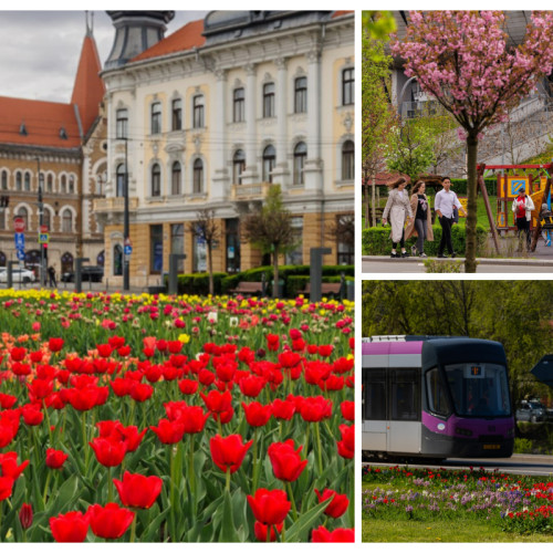 Clujul întâmpină primăvara cu un spectacol floral