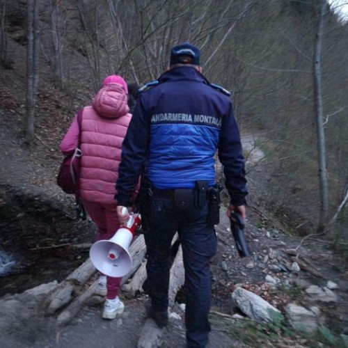 Jandarmii intervin pe traseul turistic Cheile Tisitei din cauza unei ursoaice