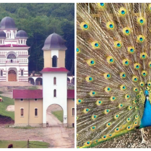 Clujeancă recomandă vizita la Mănăstirea Tăuți pentru o experiență de neuitat