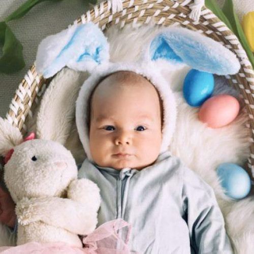 Iepurașul de Paște aduce vești despre nașteri în județul Botoșani