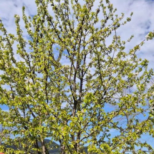 Vremea în Moldova: Prognoză pentru sfârșitul lunii aprilie și începutul lunii mai