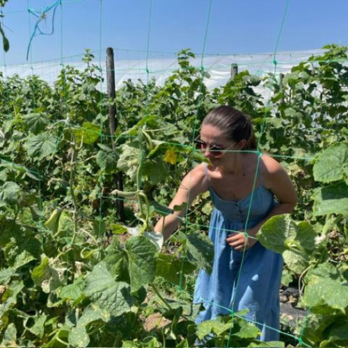 Agricultura performanta in satele bihorene