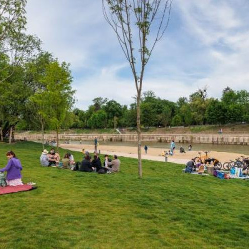 Probleme cu irigațiile automate în parcurile din Cluj