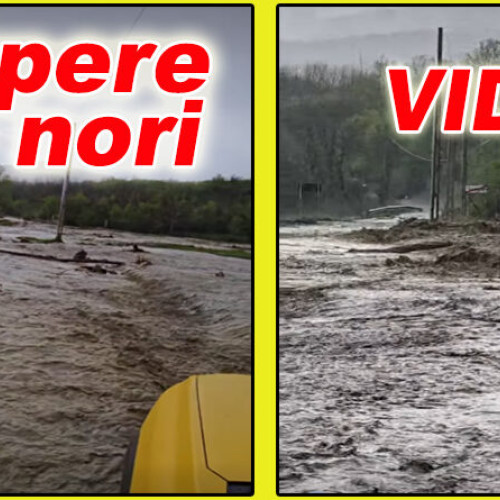 Averse torentiale pe Valea Buzăului: Pagube semnificative în comuna Viperesti