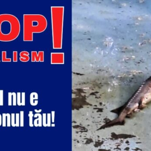 Primăria Focșani alerta după incidente grave în parcuri