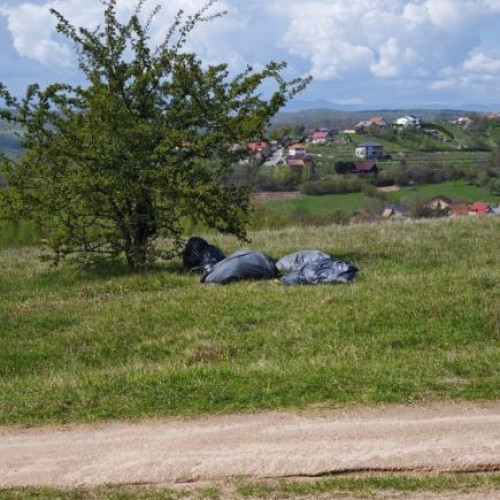 Gunoaiele transformă natura din comuna Feleacu