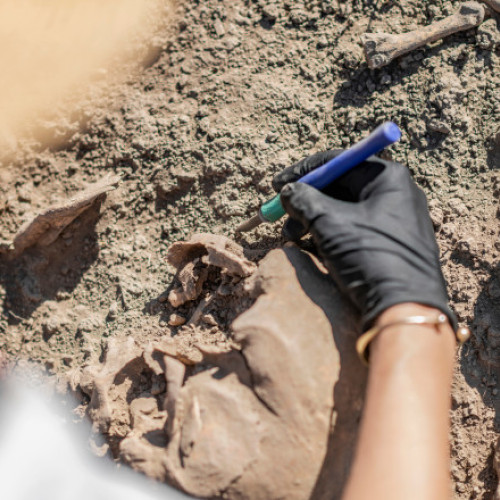 Descoperiri uluitoare la un cimitir medieval lângă Aeroportul Cardiff