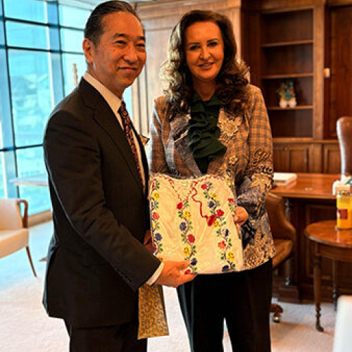 Întâlnire între România și Japonia pentru promovarea culturii