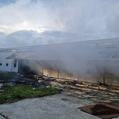 Incendiu la o fermă de pui în Satu Mare