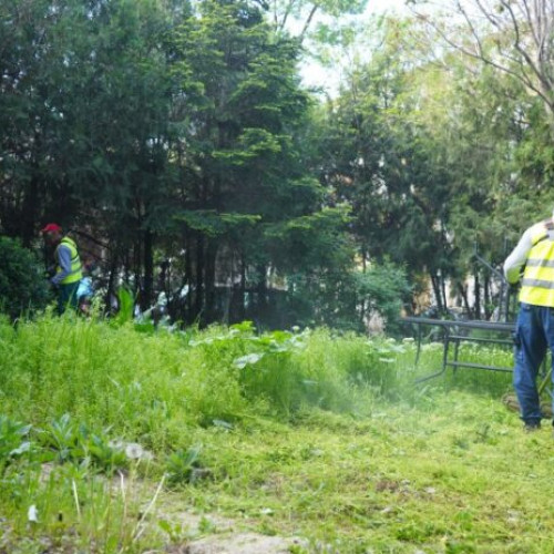 Primăria Sectorului 3 lansează un program de igienizare și înfrumusețare a domeniului public