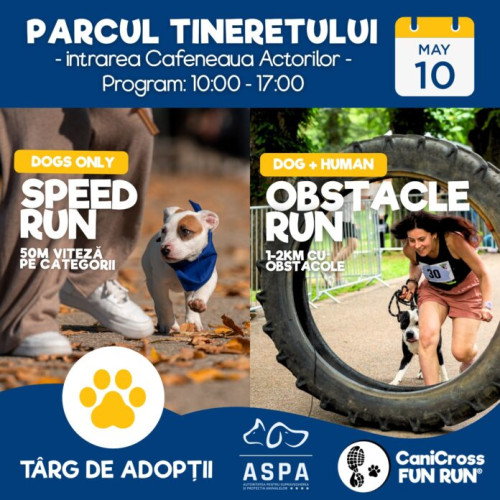 A doua ediție de Canicross se desfășoară pe 10 mai