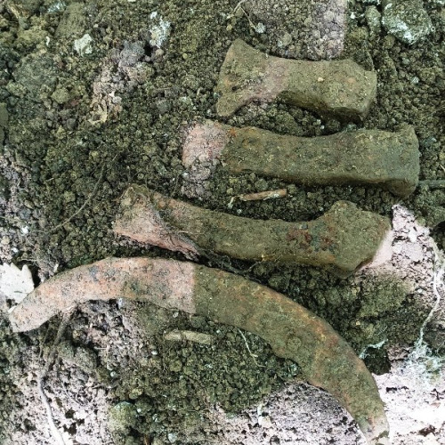 O nouă descoperire arheologică impresionantă în Vrancea