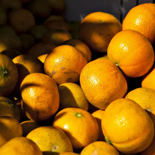 Micii întreprinzători se confruntă cu probleme din cauza aplicației RO e-transport