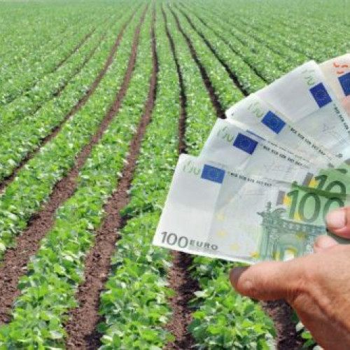Creșterea plăților agricole pentru campania 2024