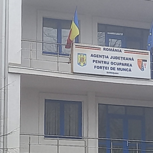Stimularea ocupării forței de muncă a adus 915 locuri de muncă în Botoșani
