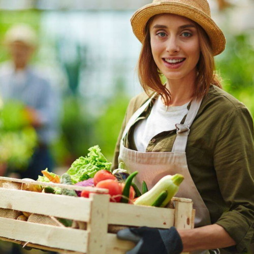Agricultura devine o opțiune profitabilă pentru tineri în Dâmbovița
