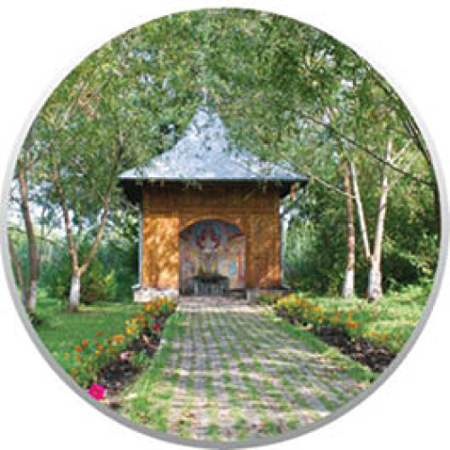 N. Dumitrescu – un nume cunoscut în comunitate